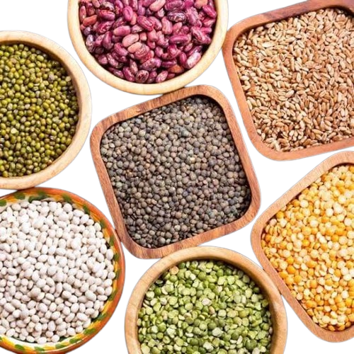 Legumes & Pulses